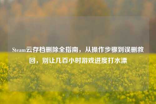 Steam云存档删除全指南，从操作步骤到误删救回，别让几百小时游戏进度打水漂