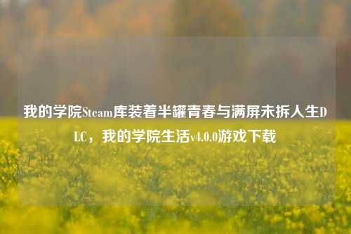 我的学院Steam库装着半罐青春与满屏未拆人生DLC，我的学院生活v4.0.0游戏下载