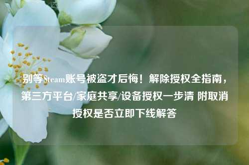 别等Steam账号被盗才后悔！解除授权全指南，第三方平台/家庭共享/设备授权一步清 附取消授权是否立即下线解答