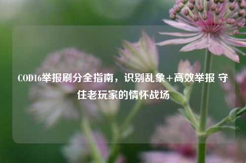 COD16举报刷分全指南,识别乱象+高效举报 守住老玩家的情怀战场