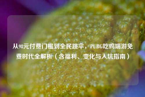 从98元付费门槛到全民跳伞，PUBG吃鸡端游免费时代全解析（含福利、变化与入坑指南）
