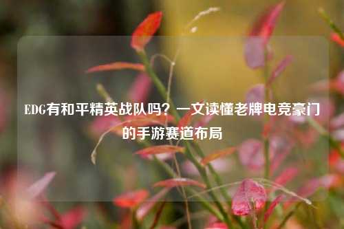EDG有和平精英战队吗？一文读懂老牌电竞豪门的手游赛道布局