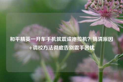 和平精英一开车手机就震成拖拉机？搞清原因+调校方法彻底告别震手困扰