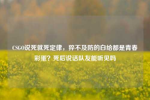 CSGO说死就死定律，猝不及防的白给都是青春彩蛋？死后说话队友能听见吗