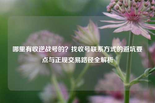 哪里有收逆战号的？找收号联系方式的避坑要点与正规交易路径全解析