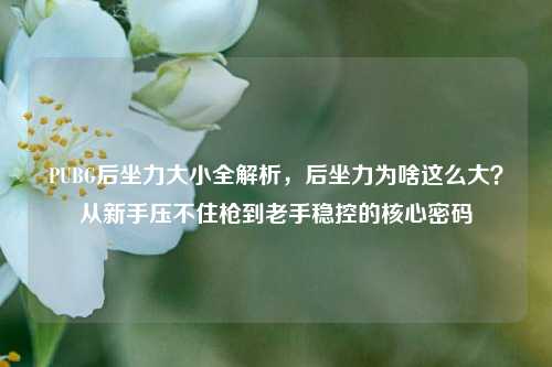 PUBG后坐力大小全解析，后坐力为啥这么大？从新手压不住枪到老手稳控的核心密码