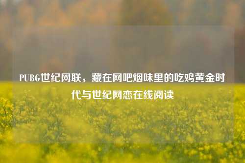 PUBG世纪网联，藏在网吧烟味里的吃鸡黄金时代与世纪网恋在线阅读