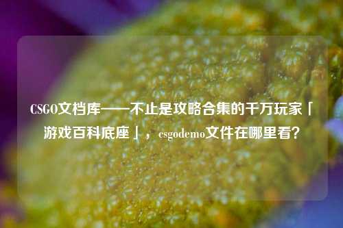 CSGO文档库——不止是攻略合集的千万玩家「游戏百科底座」，csgodemo文件在哪里看？