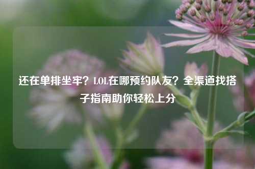 还在单排坐牢？LOL在哪预约队友？全渠道找搭子指南助你轻松上分