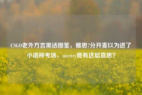 CSGO老外方言黑话图鉴，雅思7分开麦以为进了小语种考场，nicetry竟有这层意思？