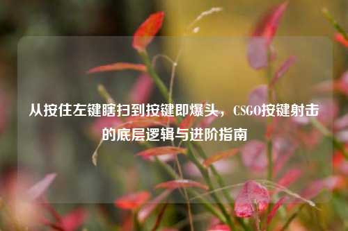 从按住左键瞎扫到按键即爆头，CSGO按键射击的底层逻辑与进阶指南