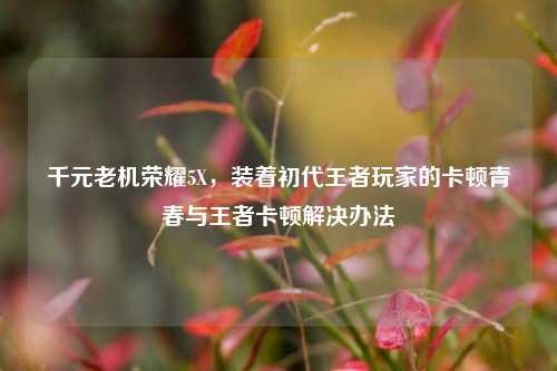 千元老机荣耀5X，装着初代王者玩家的卡顿青春与王者卡顿解决办法