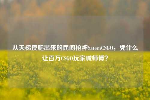从天梯摸爬出来的民间枪神SatemCSGO，凭什么让百万CSGO玩家喊师傅？