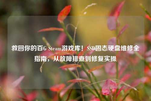 救回你的百G Steam游戏库！SSD固态硬盘维修全指南，从故障排查到修复实操