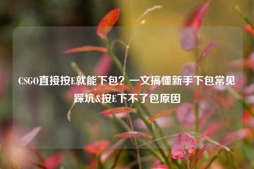 CSGO直接按E就能下包？一文搞懂新手下包常见踩坑&按E下不了包原因