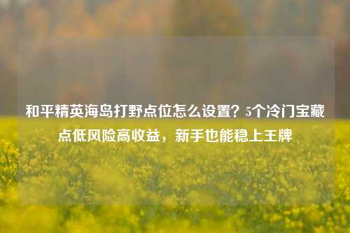 和平精英海岛打野点位怎么设置？5个冷门宝藏点低风险高收益，新手也能稳上王牌