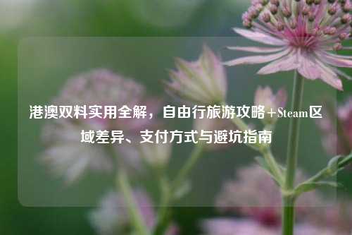 港澳双料实用全解，自由行旅游攻略+Steam区域差异、支付方式与避坑指南
