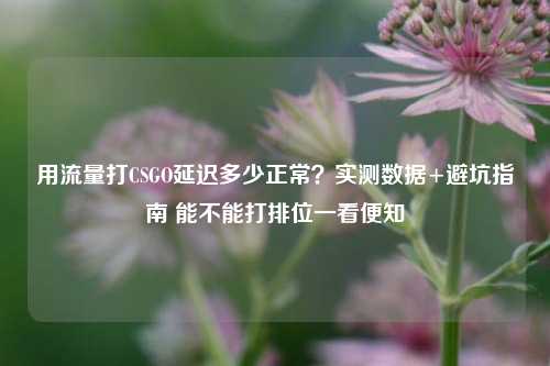 用流量打CSGO延迟多少正常？实测数据+避坑指南 能不能打排位一看便知