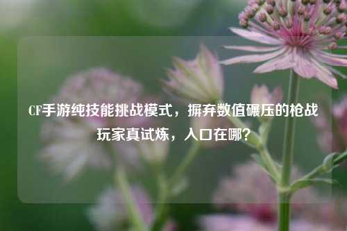 CF手游纯技能挑战模式，摒弃数值碾压的枪战玩家真试炼，入口在哪？