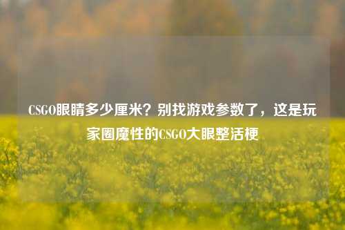 CSGO眼睛多少厘米？别找游戏参数了，这是玩家圈魔性的CSGO大眼整活梗