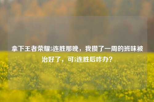 拿下王者荣耀5连胜那晚，我攒了一周的班味被治好了，可5连胜后咋办？