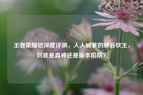 王者荣耀铠深度评测，人人喊爹的峡谷砍王，到底是真神还是版本陷阱？