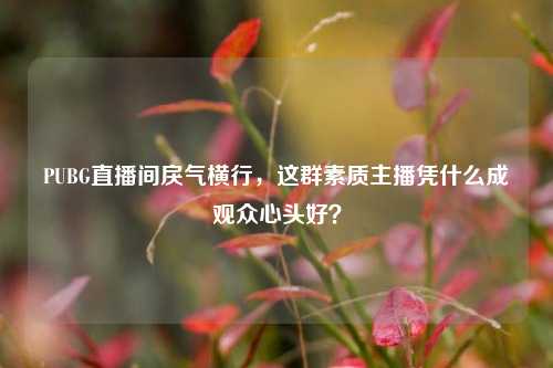 PUBG直播间戾气横行，这群素质主播凭什么成观众心头好？