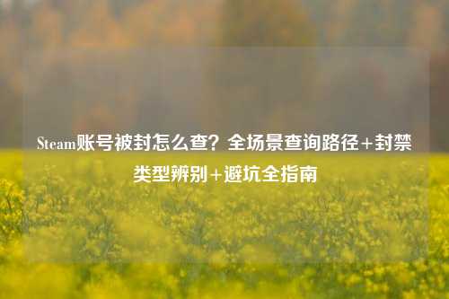 Steam账号被封怎么查？全场景查询路径+封禁类型辨别+避坑全指南