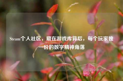 Steam个人社区，藏在游戏库背后，每个玩家独一份的数字精神角落