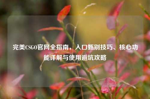 完美CSGO官网全指南，入口甄别技巧、核心功能详解与使用避坑攻略