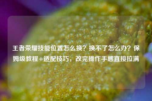 王者荣耀技能位置怎么换？换不了怎么办？保姆级教程+适配技巧，改完操作手感直接拉满