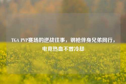 TGA PVP赛场的逆战往事，钢枪伴身兄弟同行，电竞热血不曾冷却
