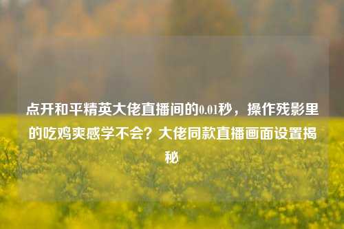 点开和平精英大佬直播间的0.01秒，操作残影里的吃鸡爽感学不会？大佬同款直播画面设置揭秘