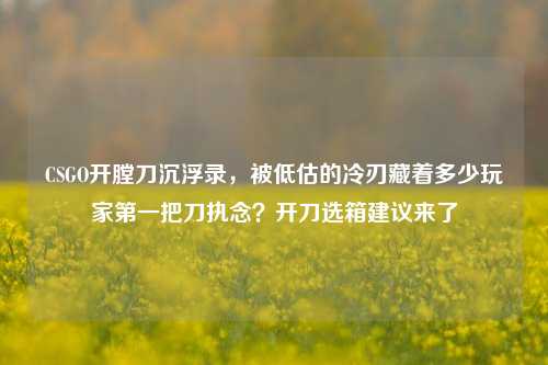 CSGO开膛刀沉浮录，被低估的冷刃藏着多少玩家第一把刀执念？开刀选箱建议来了