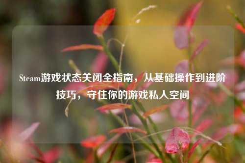 Steam游戏状态关闭全指南，从基础操作到进阶技巧，守住你的游戏私人空间