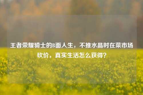 王者荣耀骑士的B面人生，不推水晶时在菜市场砍价，真实生活怎么获得？
