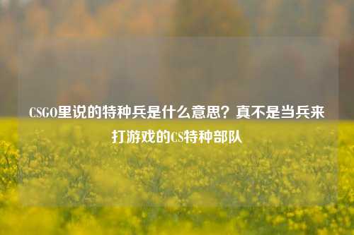 CSGO里说的特种兵是什么意思？真不是当兵来打游戏的CS特种部队