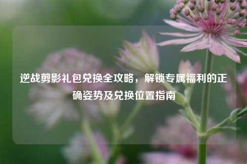 逆战剪影礼包兑换全攻略，解锁专属福利的正确姿势及兑换位置指南