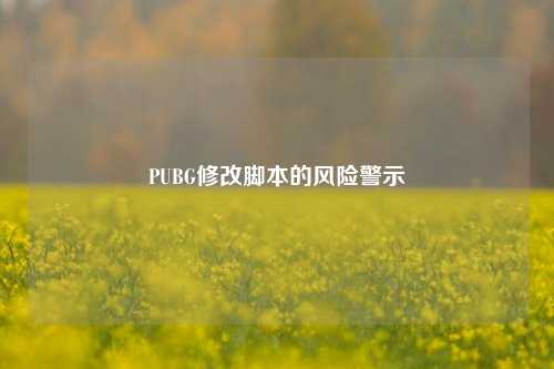 PUBG修改脚本的风险警示