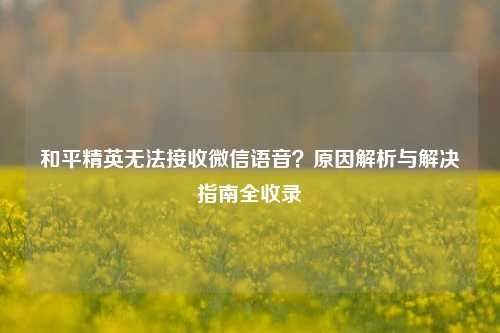 和平精英无法接收微信语音？原因解析与解决指南全收录