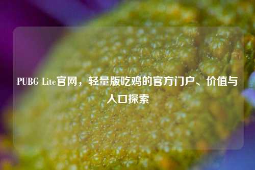 PUBG Lite官网，轻量版吃鸡的官方门户、价值与入口探索