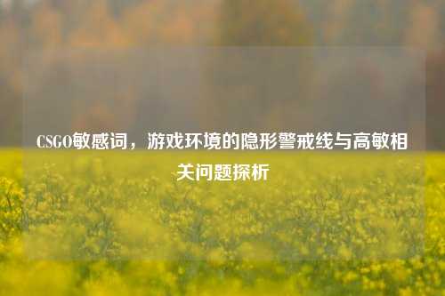 CSGO敏感词，游戏环境的隐形警戒线与高敏相关问题探析