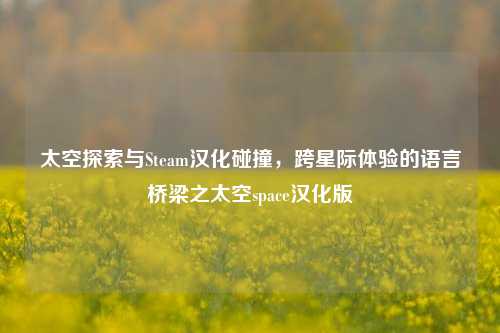 太空探索与Steam汉化碰撞，跨星际体验的语言桥梁之太空space汉化版