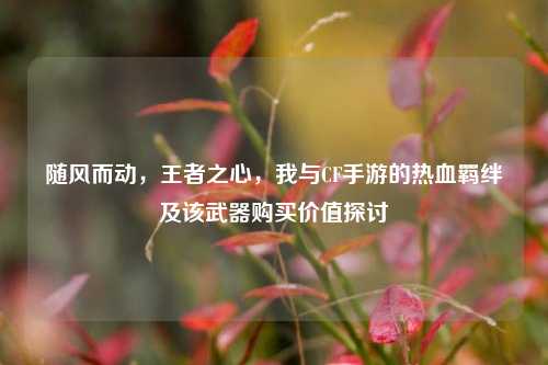 随风而动，王者之心，我与CF手游的热血羁绊及该武器购买价值探讨
