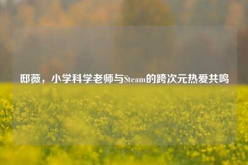 邸薇，小学科学老师与Steam的跨次元热爱共鸣