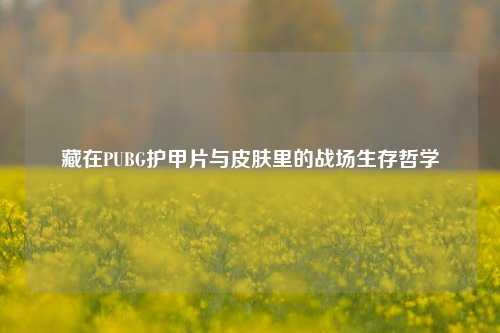 藏在PUBG护甲片与皮肤里的战场生存哲学