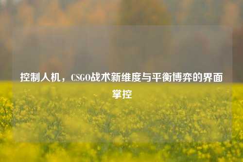 控制人机，CSGO战术新维度与平衡博弈的界面掌控
