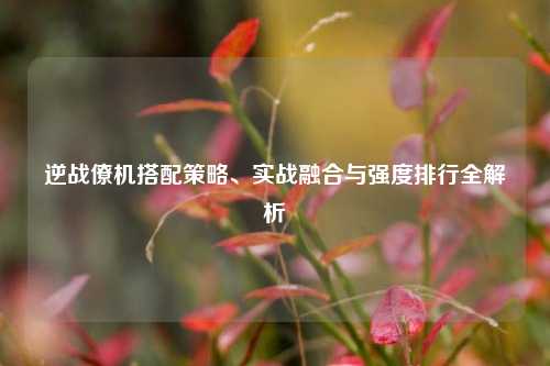 逆战僚机搭配策略、实战融合与强度排行全解析