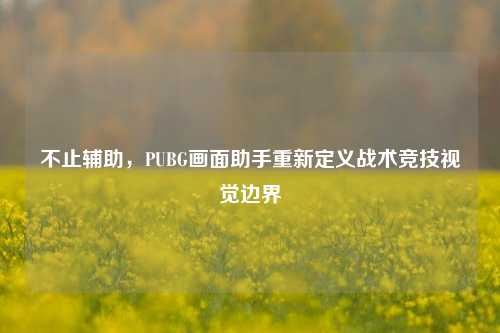 不止辅助，PUBG画面助手重新定义战术竞技视觉边界