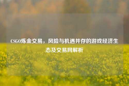 CSGO炼金交易，风险与机遇并存的游戏经济生态及交易网解析